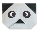 easy - animal-face - panda